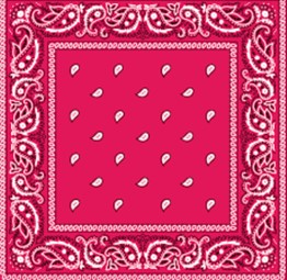 Bandana  Fushia