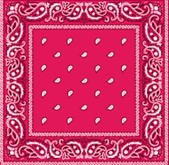 Bandana  Fushia